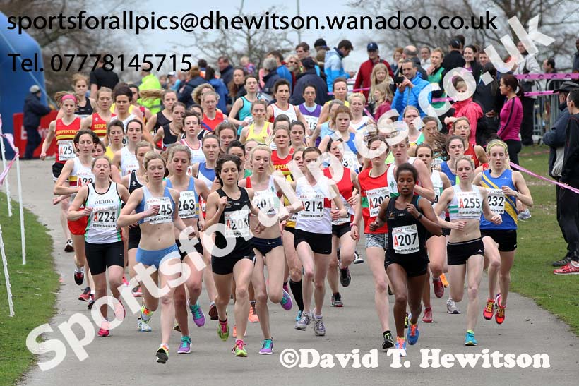 Start of the National 6 Stage Relay, National 12 and 6 Stage Relays, Sutton Park, Birmingham. Photo: David T. Hewitson/Sports for All Pics